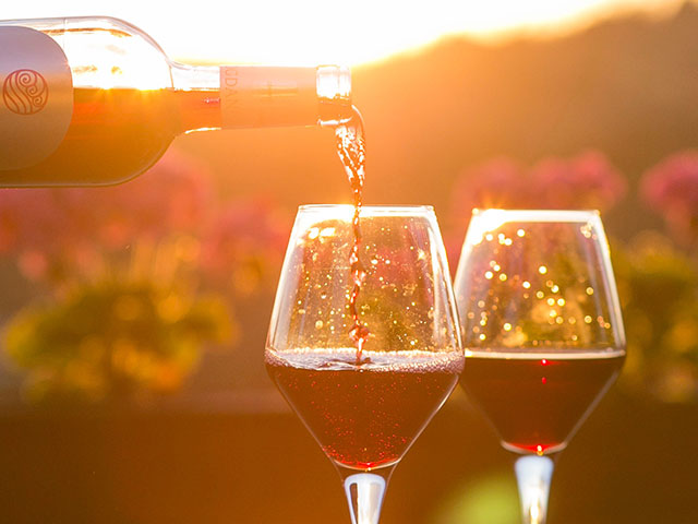 Wishes, Wine and Brew